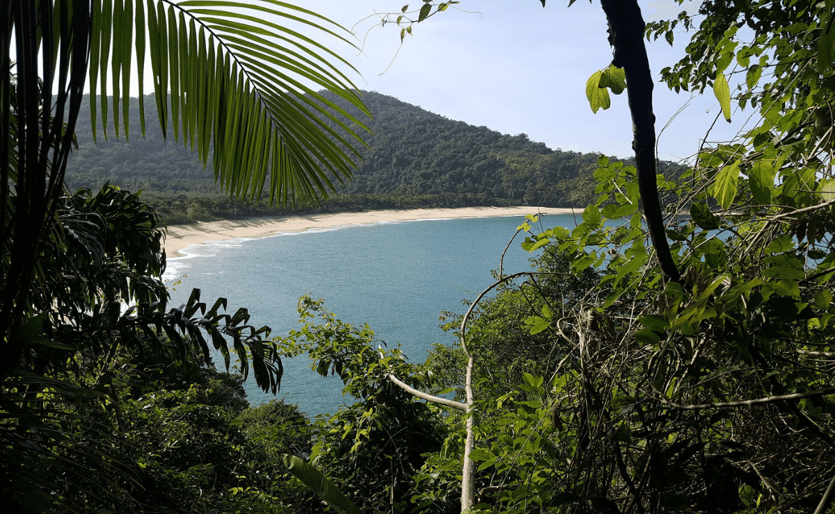viagem a ubatuba